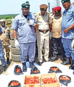 Live Ammunitions, Drugs, make list of N557.1 million Seizures by Ogun 1 Command