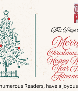 MERRY CHRISTMAS AND A HAPPY NEW YEAR IN ADVANCE